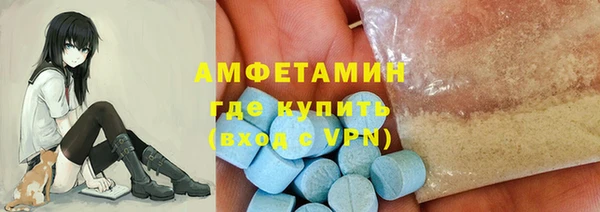 дмт Богданович