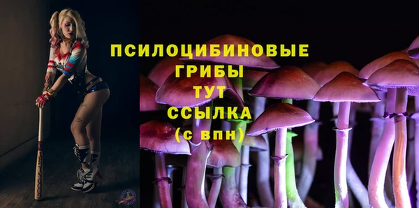 эйфоретик Богородицк