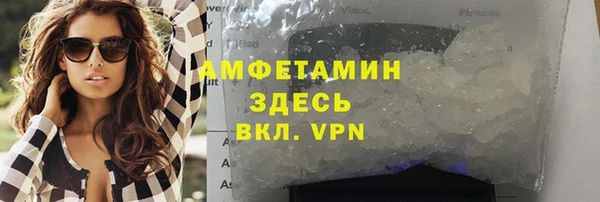 дмт Богданович