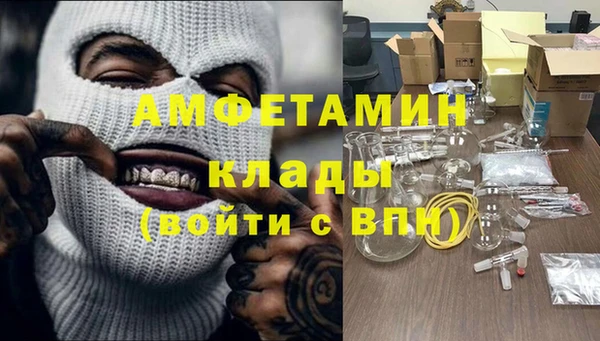 дмт Богданович