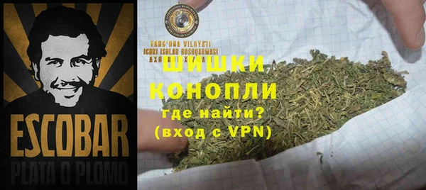 дмт Богданович