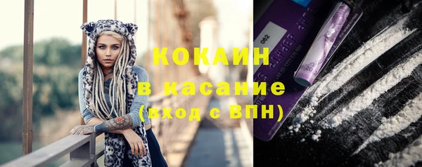 дмт Богданович
