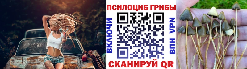 Псилоцибиновые грибы мухоморы  гидра ТОР  Ковдор 